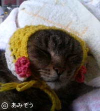 �L�摜