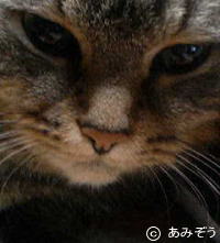 �L�ʐ^