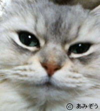 �L�ʐ^