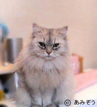 �L�摜