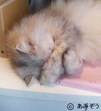 �L�ʐ^