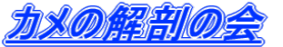 J̉Ủ